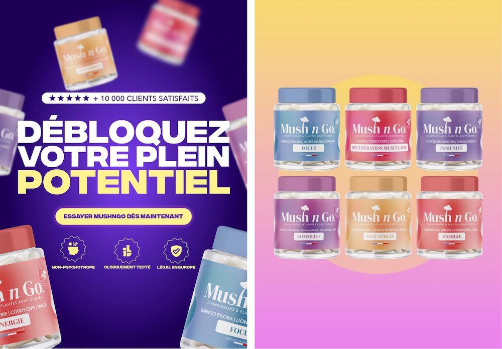 Mushngo avis